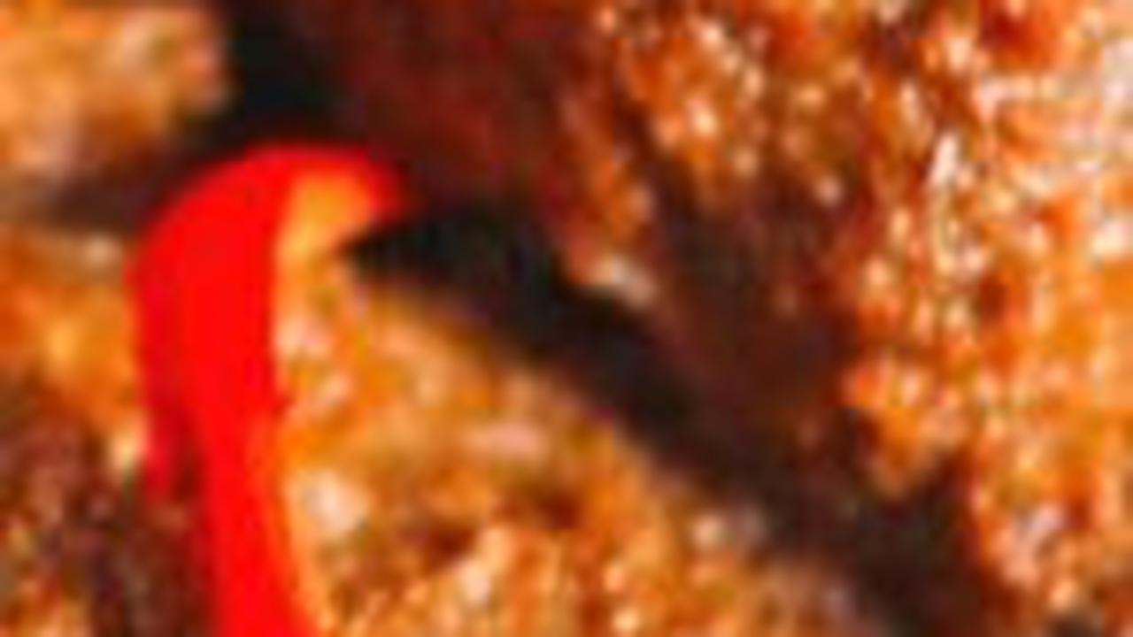 Rendang Sapi Khas Medan