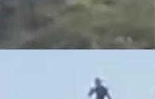 Sedang Mendaki Bukit, Keluarga Ini Lihat Penampakan Aneh yang Diklaim Alien, Begini Sosoknya