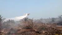 Kebakaran Gambut di Mesuji, Pesawat Water Bombing Dikerahkan