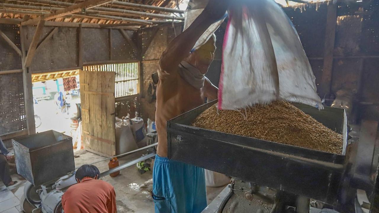Pekerja menggiling gabah padi di Parung Panjang, Kabupaten Bogor, Jawa Barat, Selasa (9/7/2024).&nbsp;Badan Pusat Statistik (BPS) mencatat, harga beras naik lagi pada minggu pertama Juli 2024. Kenaikan harga beras ini tercatat sebesar 0,26 persen dibandin