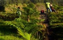 7 Wisata Klaten yang Hits, Cocok untuk Liburan Keluarga