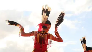 Bahasa Suku Dayak: 5 Rumpun Besar, Contoh Kosakata, dan Cara Mudah Mulai Mempelajarinya