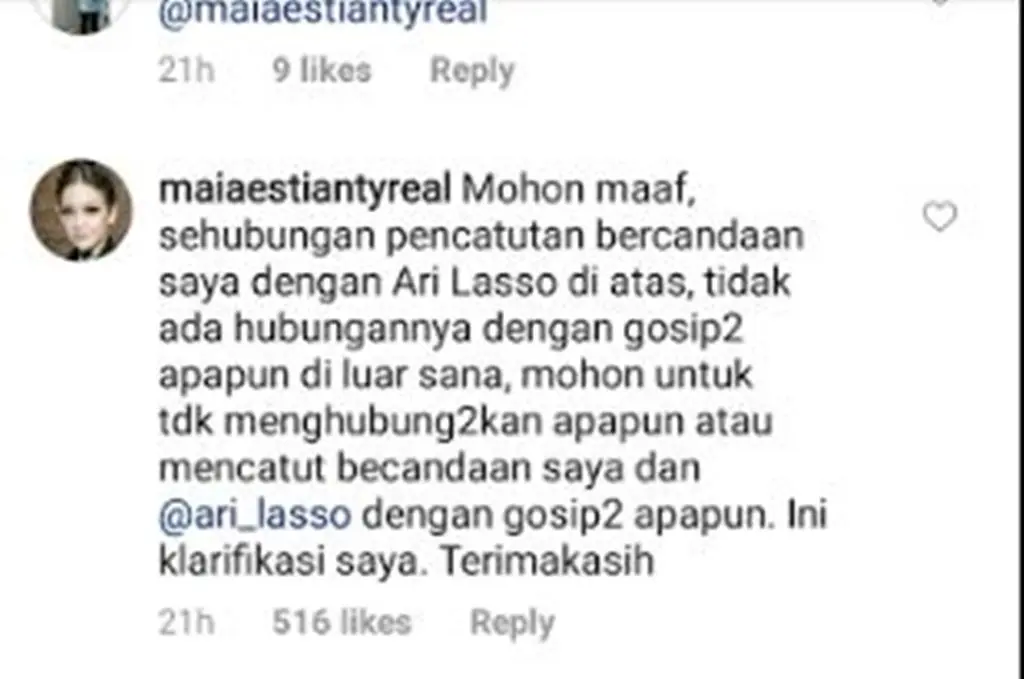 Maia Estianty memberikan klarifikasi mengenai pernyataan dirinya dengan Ari Lasso (Foto: Instagram)