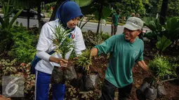 Petugas memberikan tanaman kepada Relawan Dulure Djarot di depan Balai Kota, Jakarta, Minggu (16/10). Aksi tersebut untuk memperbaiki taman yang rusak akibat demostrasi beberapa waktu lalu.(Liputan6.com/Faizal Fanani)