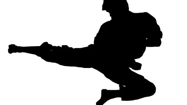 Ilustrasi Karate
