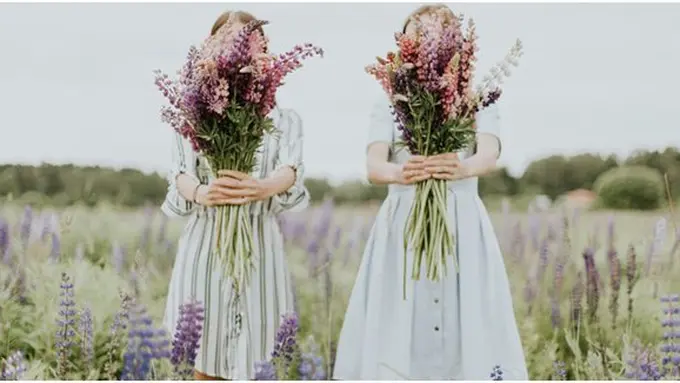 Home & Garden / Copyright : unsplash.com