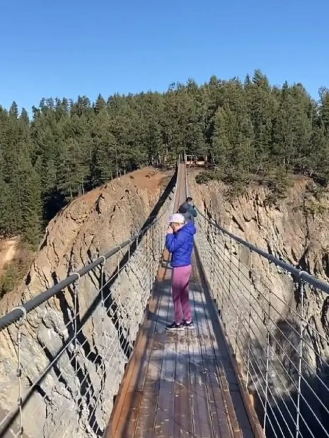 Golden Skybridge