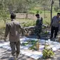 Dua makam yang diduga jadi tempat ritual pesugihan di Bojonegoro. (Adirin/Liputan6.com).