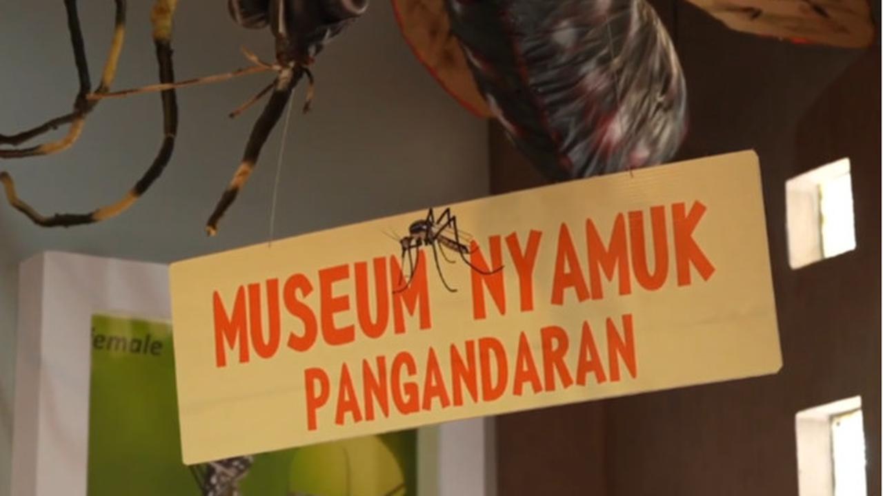 Museum Nyamuk