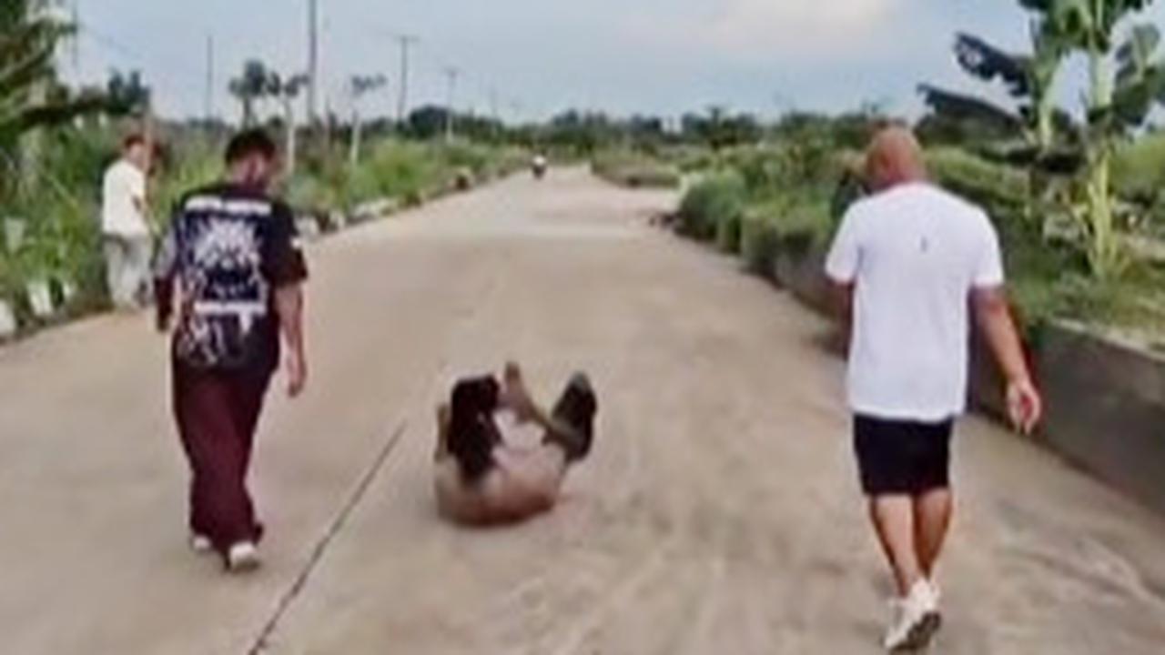 Momen Kapolres Jungkir Balik di Jalanan Gembleng Bintara Ramai Jadi Sorotan, Sosoknya Dikenal Kocak