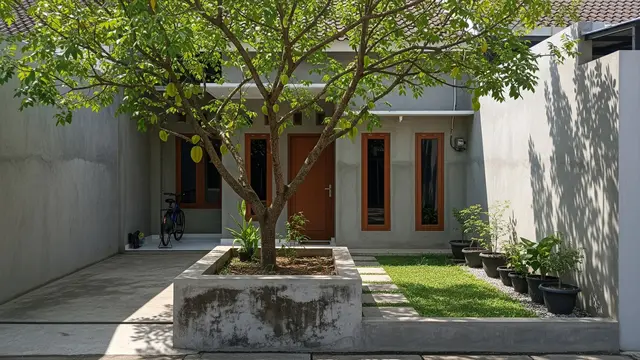 Pohon Belimbing