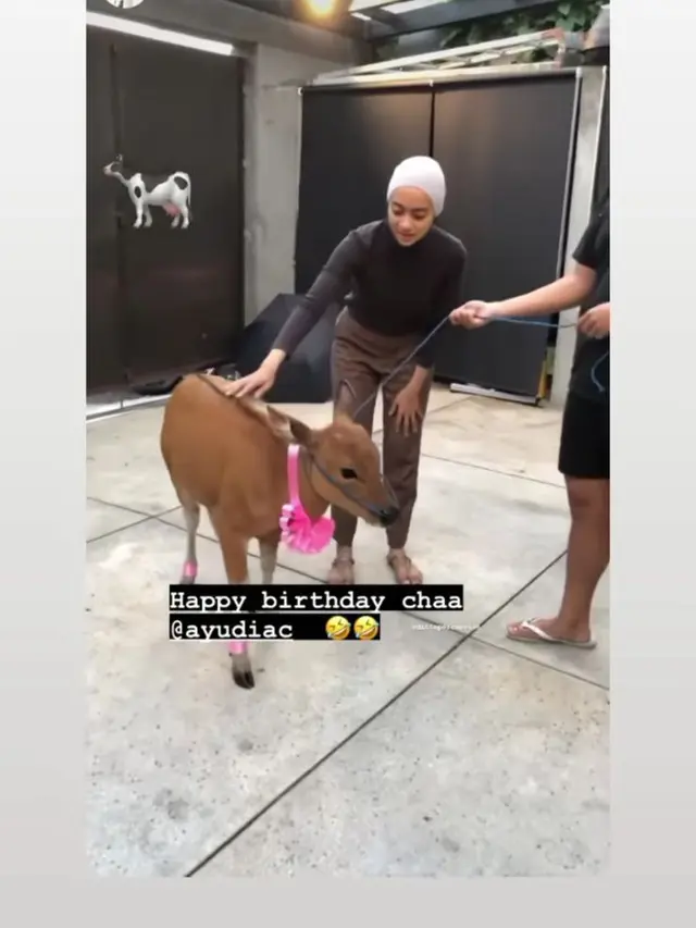 7 Momen Ulang Tahun Ayudia Bing Slamet, Bahagia Dapat Kado Anak Sapi dari Suami