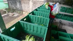 Warga mengolah sampah sampah organik yang akan dijadikan media pakan dalam budidaya maggot di Magot Taman Abadi yang dikelola Kelompok Masyarakat (Pokmas) Karya Pemuda Beji Timur di Kelurahan Beji Timur, Depok, Jawa Barat, Senin (11/8/2025). (Merdeka.com/Arie Basuki)