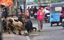 FOTO: Trotoar Yang Berubah Fungsi di Ibukota Jakarta