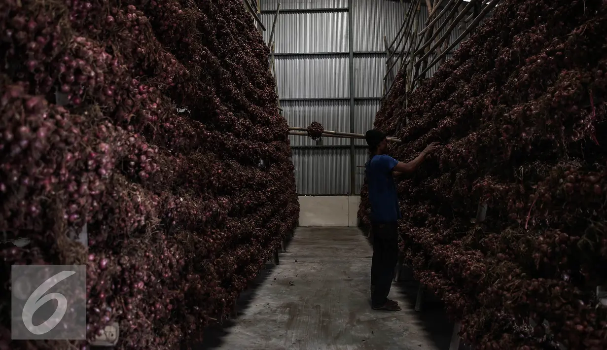 Seorang pekerja mengeringkan bawang merah di Gudang Bulog, Jakarta, Senin (16/5). Sebanyak 23.000 ton bawang merah disiapkan Kementerian Pertanian menjelang bulan puasa dan lebaran. (Liputan6.com/Faizal Fanani)
