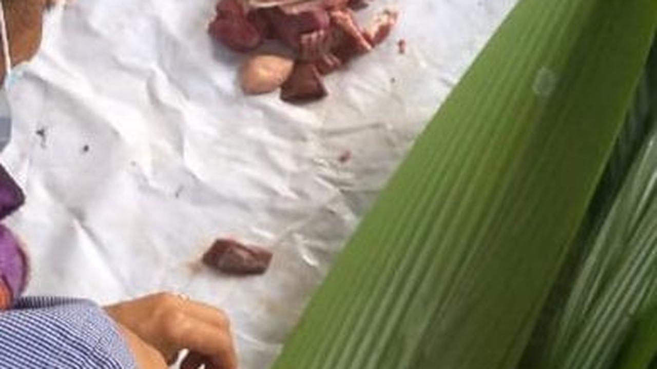 Dikutip dari Liputan6.com, cara menggunakan daun nyangku untuk membungkus daging kurban cukup mudah. Daging dibungkus oleh daun, lalu di bagian atas daun ditali dengan nyangku.
