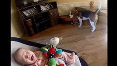 Seorang bayi lucu menangis saat mainannya diambil oleh seekor anjing (Youtube.com)