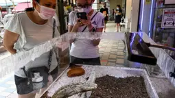 Orang-orang melihat tampilan formicarium yang menampung semut di dalam toko hewan peliharaan "Just Ants" di Singapura pada 23 September 2020. Pengusaha bernama John Ye membuka toko pertama di Singapura yang mengkhususkan diri menjual peternakan semut sebagai hewan peliharaan. (Roslan RAHMAN/AFP)
