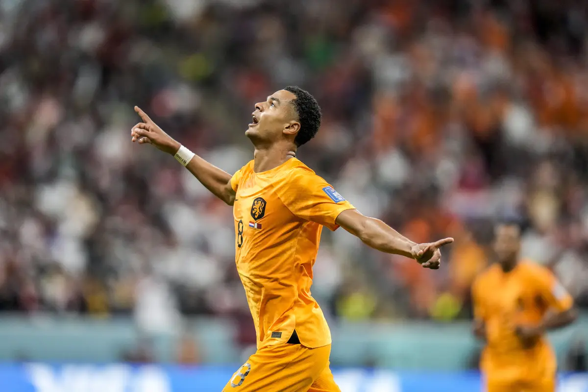 Timnas Belanda vs Timnas Qatar Grup A Piala Dunia 2022