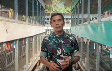 Kisah Lettu Budi Santoso, Prajurit TNI Sukses jadi Peternak Perkutut Penghasilan Perbulan Jutaan
