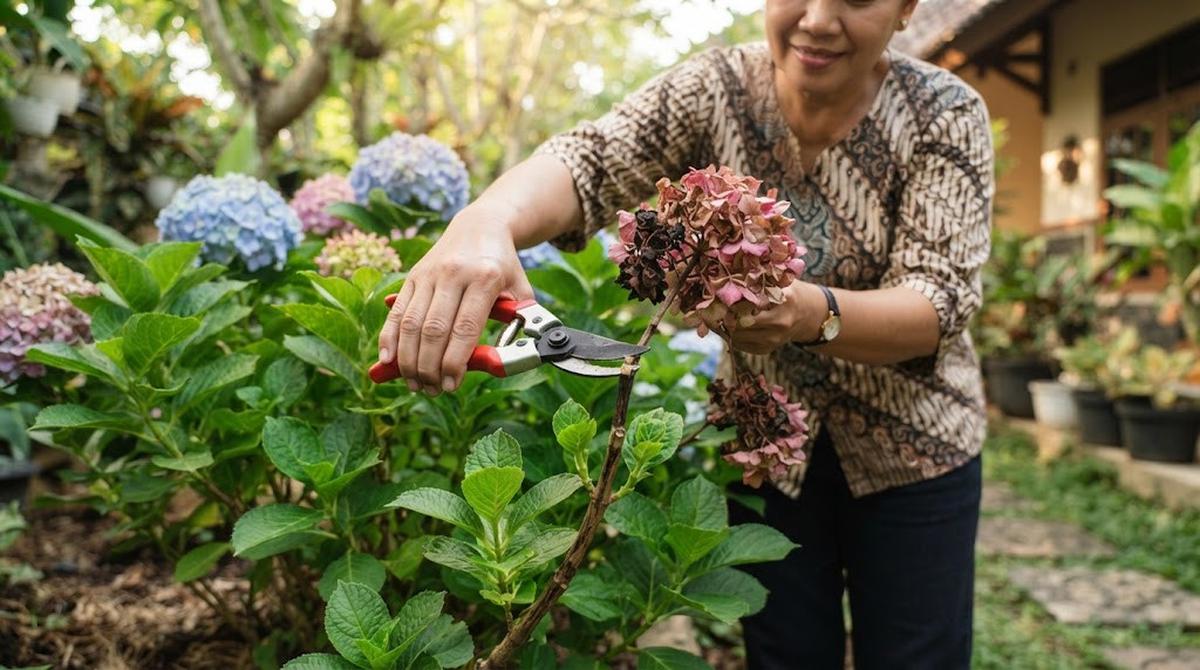 Pemangkasan Rutin Tanaman yang Layu