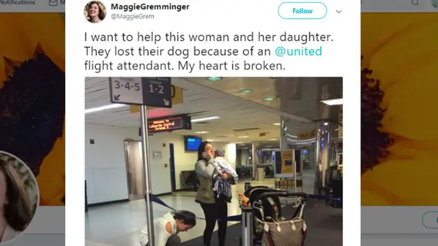 Pemilik anjing