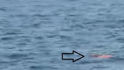 Pencarian Jurnalis Hilang Kontak di Selat Sunda, TNI AL Temukan Pelampung dan Buoy