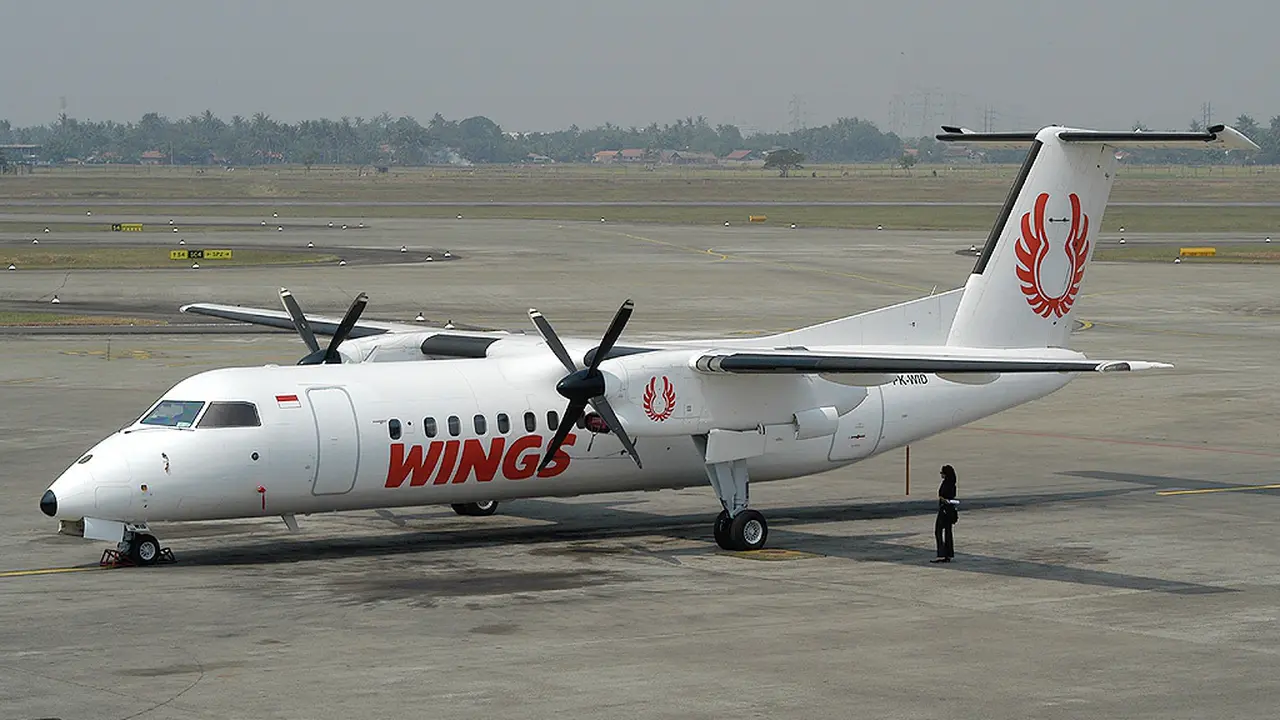Wings Air 