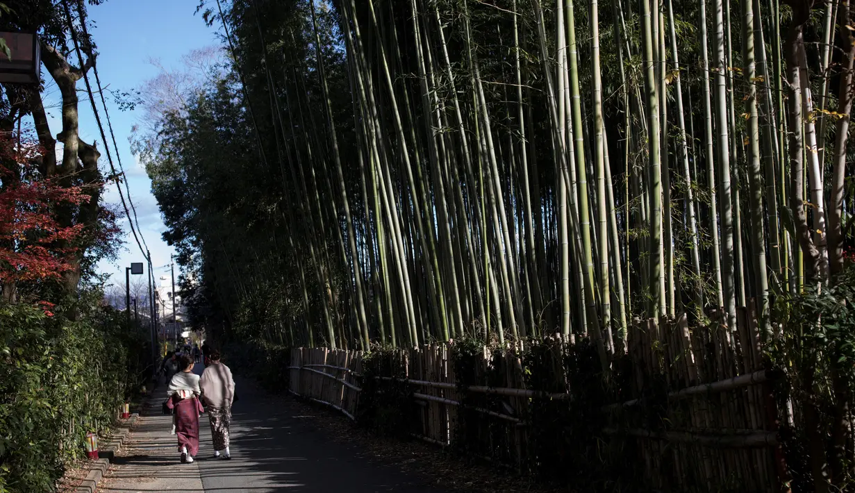 Wisatawan mengenakan kimono berjalan-jalan di Hutan Bambu Sagano di Arashiyama, Kyoto, Jepang pada 8 Desember 2018. Hutan seluas 16 km2 ini dinobatkan sebagai salah satu hutan terbaik di dunia. (Behrouz MEHRI / AFP)