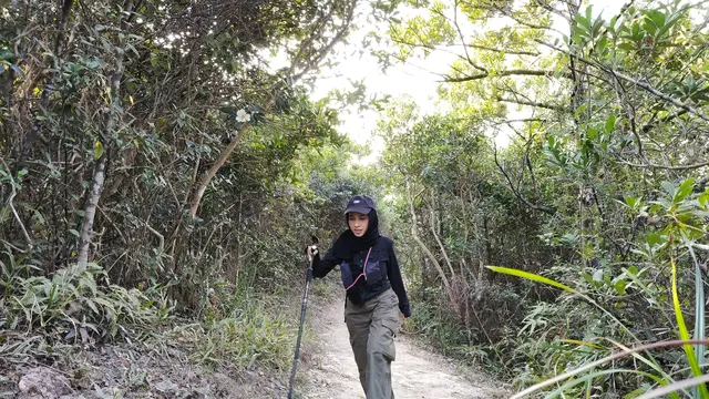 Destinasi Hiking Terbaik dan Ramah Pemula di Hong Kong: Dragon's Back dan High Island Geo Trail