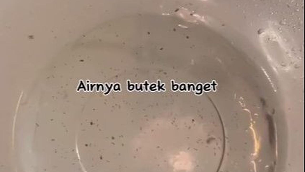 Tiriskan Anggur