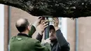 Pria bernama Keith Keiling dan Bobby Keiling membuat penyanggah untuk menahan batang pohon Oak berusia 600 tahun yang mulai gugur di New Jersey (21/4). Pohon ini telah menjadi latar belakang bagi ribuan foto selama bertahun-tahun. (AP Photo/Julio Cortez)