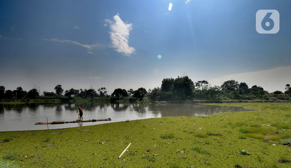 Warga menjala ikan pada bagian situ yang dipenuhi gulma di Situ Tujuh Muara, Depok, Jawa Barat, Senin (20/9/2021). Situ Tujuh Muara yang awalnya luasnya 30 hektar kini menyusut 24 hektar dengan sebagian sisinya dipenuhi tanaman gulma dan endapan lumpur. (merdeka.com/Arie Basuki)
