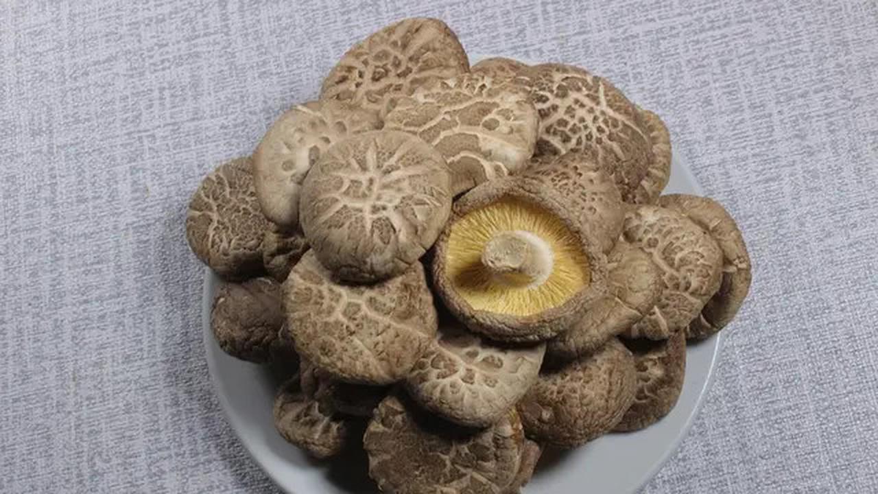 Resep Praktis Membuat Kaldu Jamur Tanpa MSG untuk Masakan Sehat