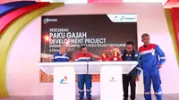 Proyek Pengembangan Paku Gajah berada di dua kabupaten, yaitu Muara Enim dan Ogan Komering Ulu.(Dok)