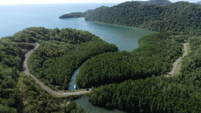 Cara Baru Isi Liburan di Sekitar Labuan Bajo, Naik Kayak Susuri Hutan Mangrove di Desa Wisata Tanjung Boleng