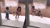 Dilatih Jadi Baby Sitter, Aksi Kera Jaga Balita Ini Tuai Banyak Sorotan