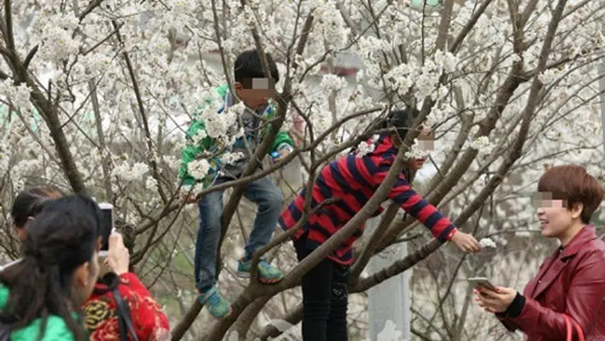 copyright by shanghaiist.com