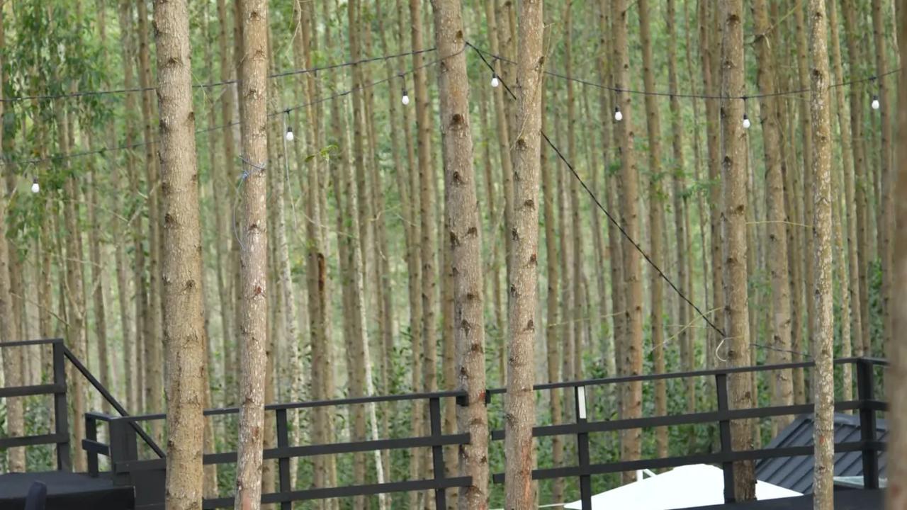 Setelah sekitar 15 menit berbincang santai, Jokowi bersama para menteri kemudian beranjak menuju kendaraan untuk memulai rangkaian kunjungan kerja hari keempat.