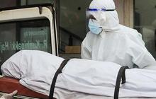 Heboh Virus Nipah di India, Sudahkah Masuk Indonesia?