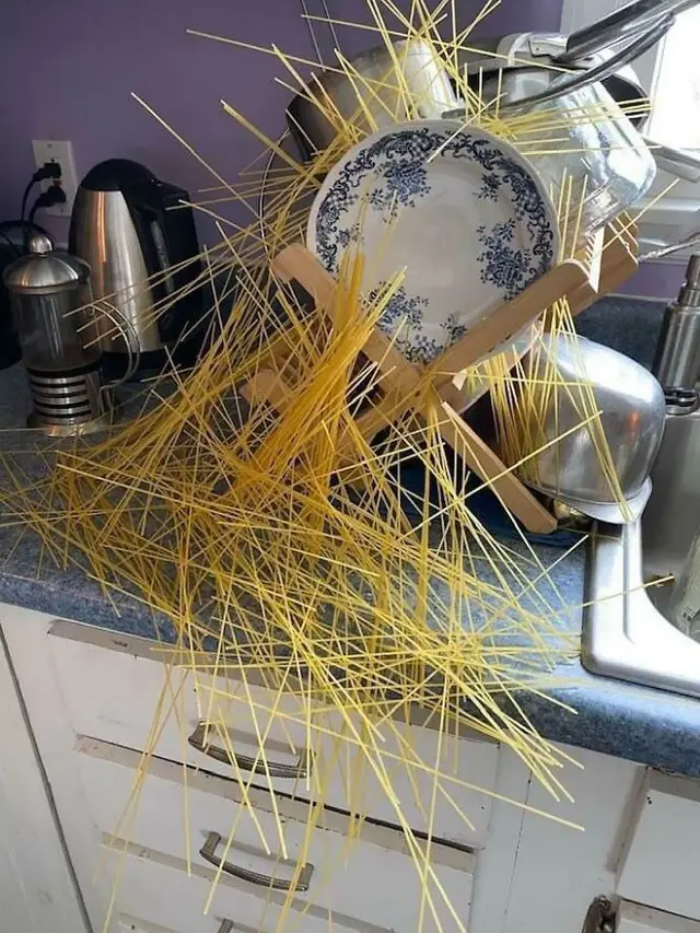 Momen Apes Saat Memasak, Dapur Bak Kapal Pecah. (Sumber: Boredpanda)