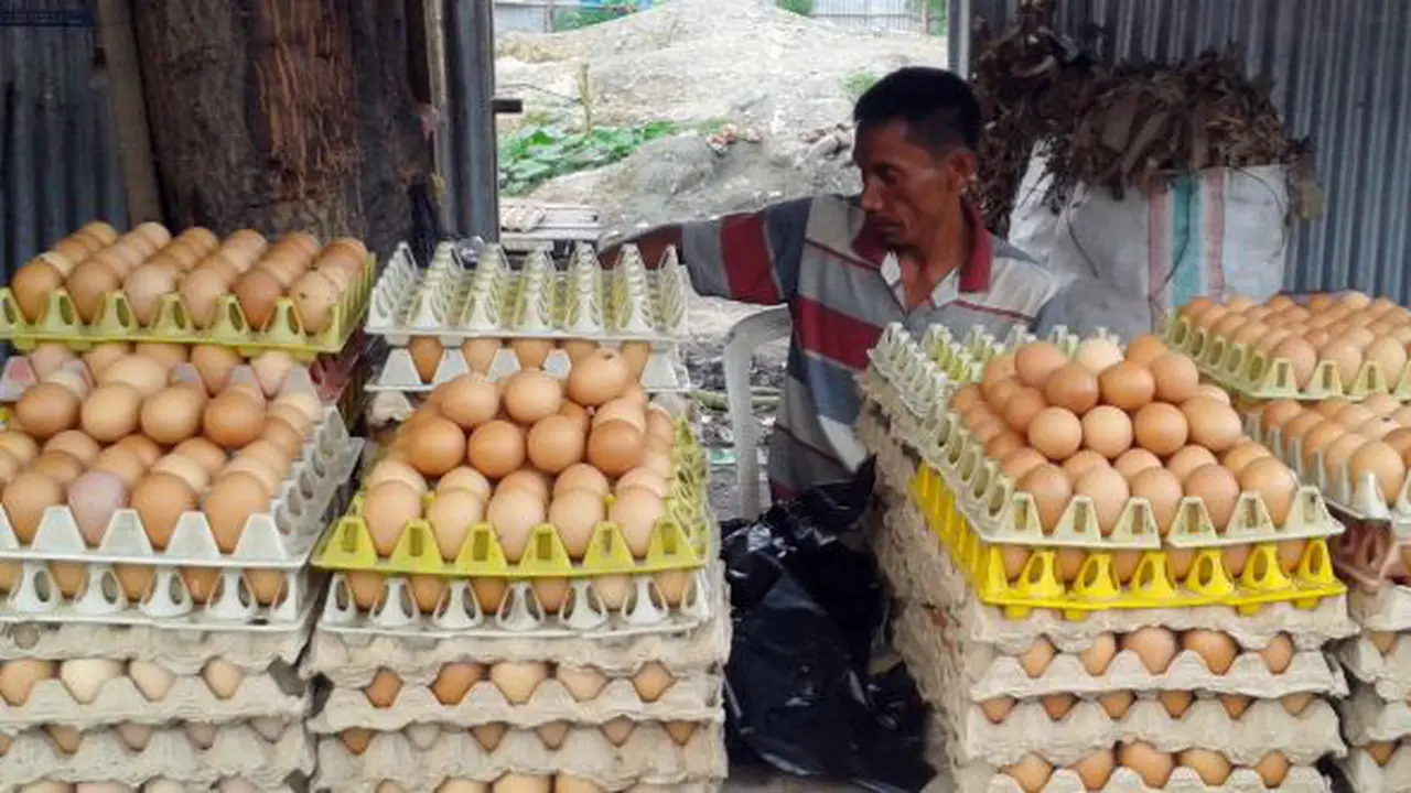 Pedagang Telur di Palu
