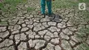 Penetapan status siaga bencana kekeringan di Provinsi Banten diakibat musim kemarau berkepanjangan sebagai dampak dari fenomena El Nino. (Liputan6.com/Angga Yuniar)