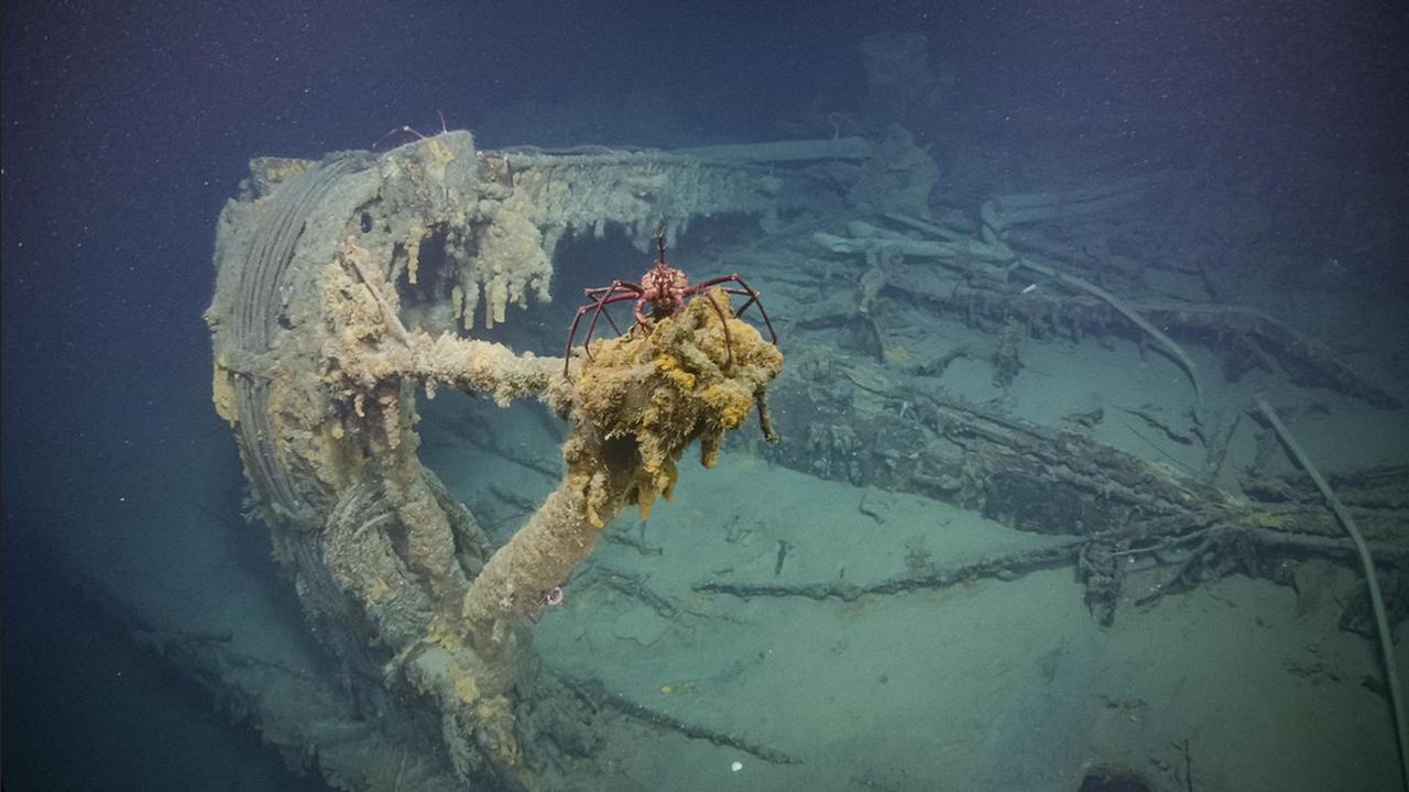 Teruzuki. Image source: Nautilus Live.