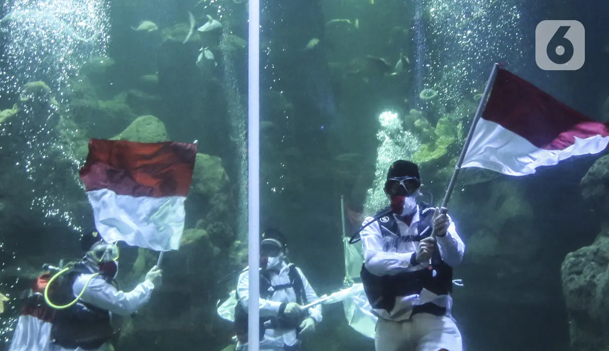 Penyelam mengibarkan bendera Merah Putih saat gladi resik HUT ke-75 RI dalam akuarium Sea World Ancol, Jakarta, Sabtu (15/8/2020). Taman Impian Jaya Ancol akan memperingati HUT ke-75 RI dengan mengibarkan bendera Merah Putih dalam akuarium Sea World pada 17 Agustus 2020. (Liputan6.com/Johan Tallo)