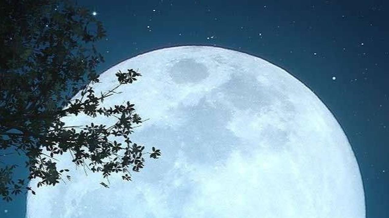 Arti I Love You To the Moon and Back dan Sejarahnya, Punya Makna Mendalam