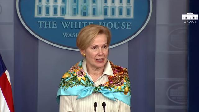 Dr. Deborah Birx, Koordinator Respons Virus Corona Gedung Putih.