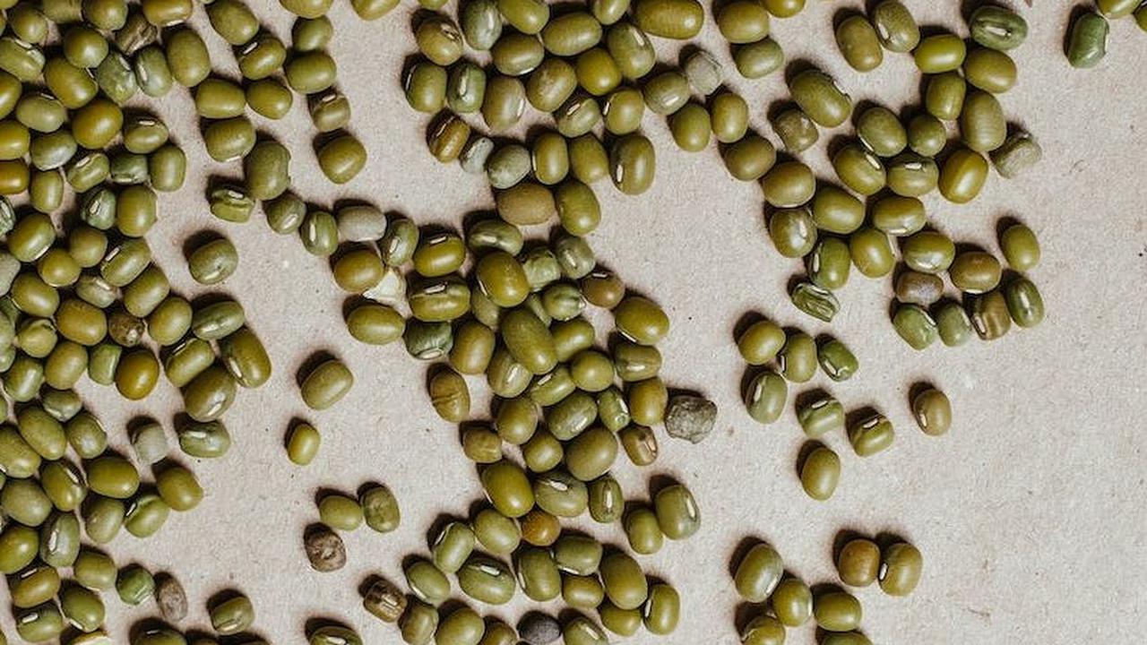 Selain itu, kacang hijau juga mengandung antioksidan, protein, karbohidrat, serat, dan beragam vitamin dan mineral seperti vitamin A, B, C, E, dan K, serta mangan, magnesium, fosfor, kalium, selenium, kalsium, zinc, dan zat besi.