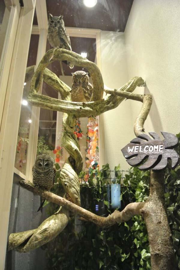 Photo copyright Asiantown.net