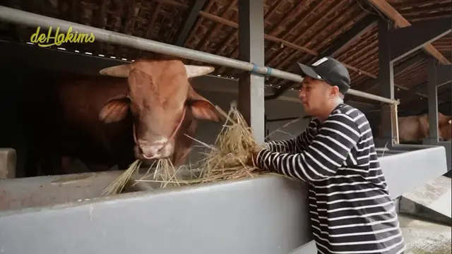 Irfan Hakim jadi anak kandang